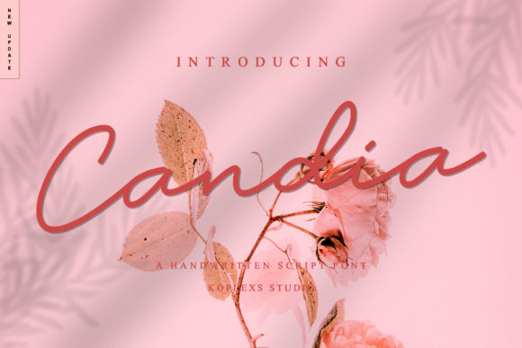 Candia: A Designer’s Honest Review of This Script Amp