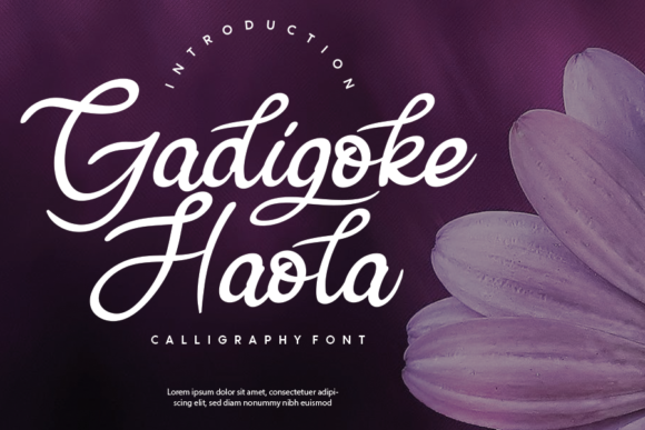 Gadigoke Haola Review: A Designer’s Take on This Script Amp Typeface