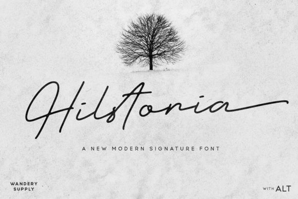 Hilstoria: The Script Font That Makes Campaign Visuals Pop