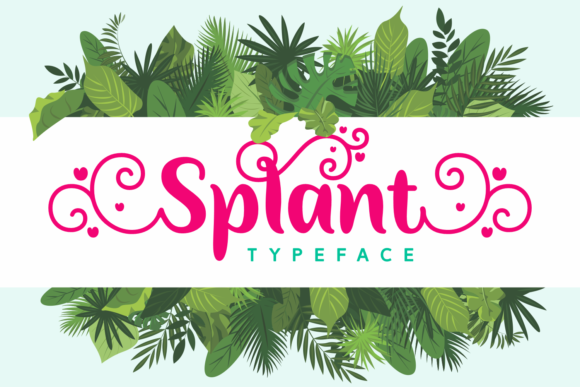 Splant: The Elegant Script Font That Elevates Small Business Branding